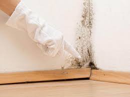 Why You Should Choose Our Mold Remediation Services in Double Springs, AL